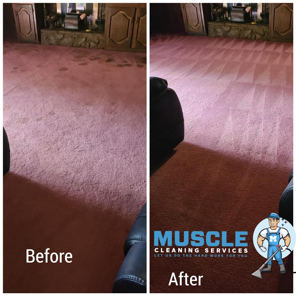 Muscle Cleaning Services - Carpet Cleaning