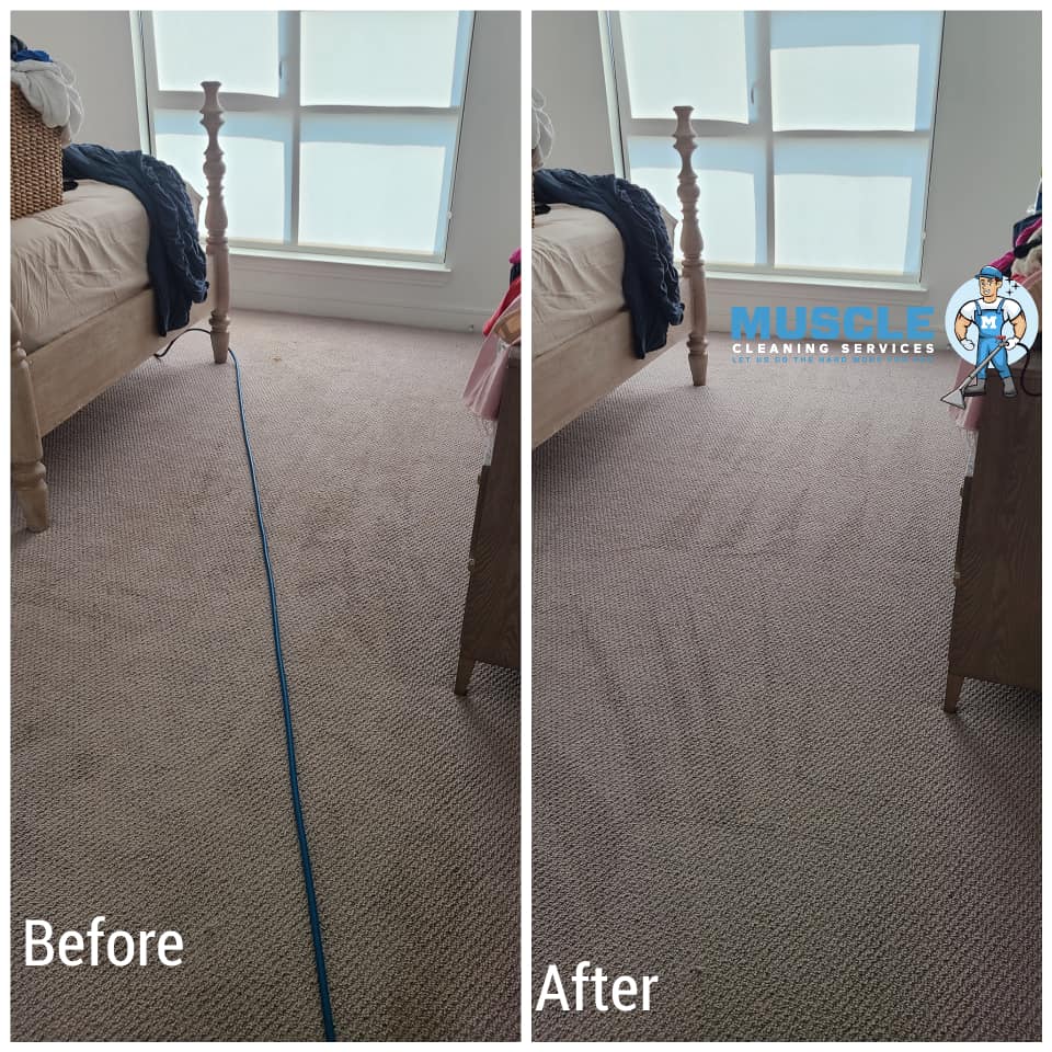 Muscle Cleaning Services - Carpet Cleaning in Texas