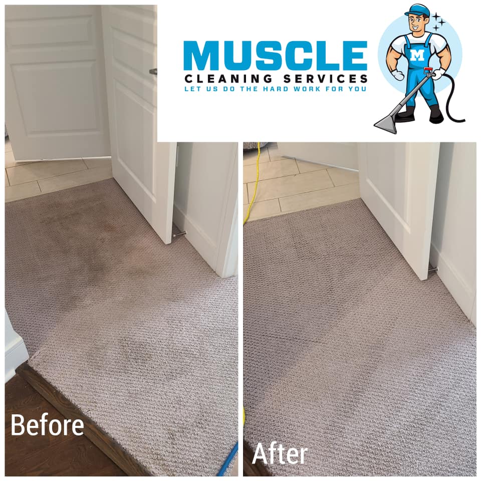 Muscle Cleaning Services - Best Carpet & Rug Cleaning in Dallas