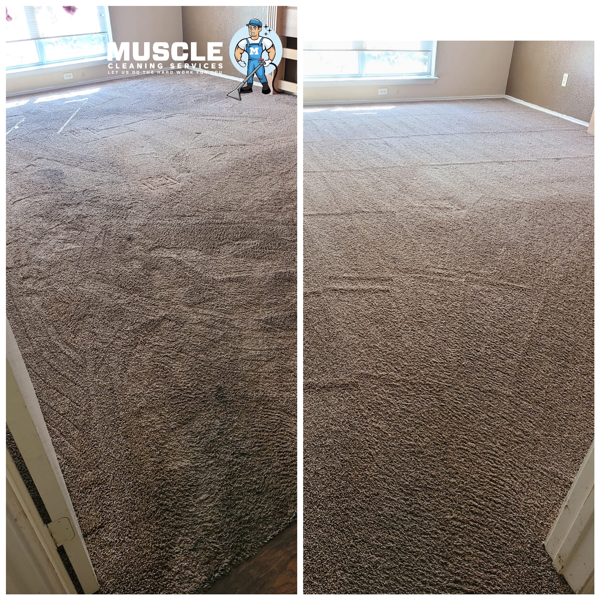 Muscle Cleaning Services - Hire Cleaners for Carpet