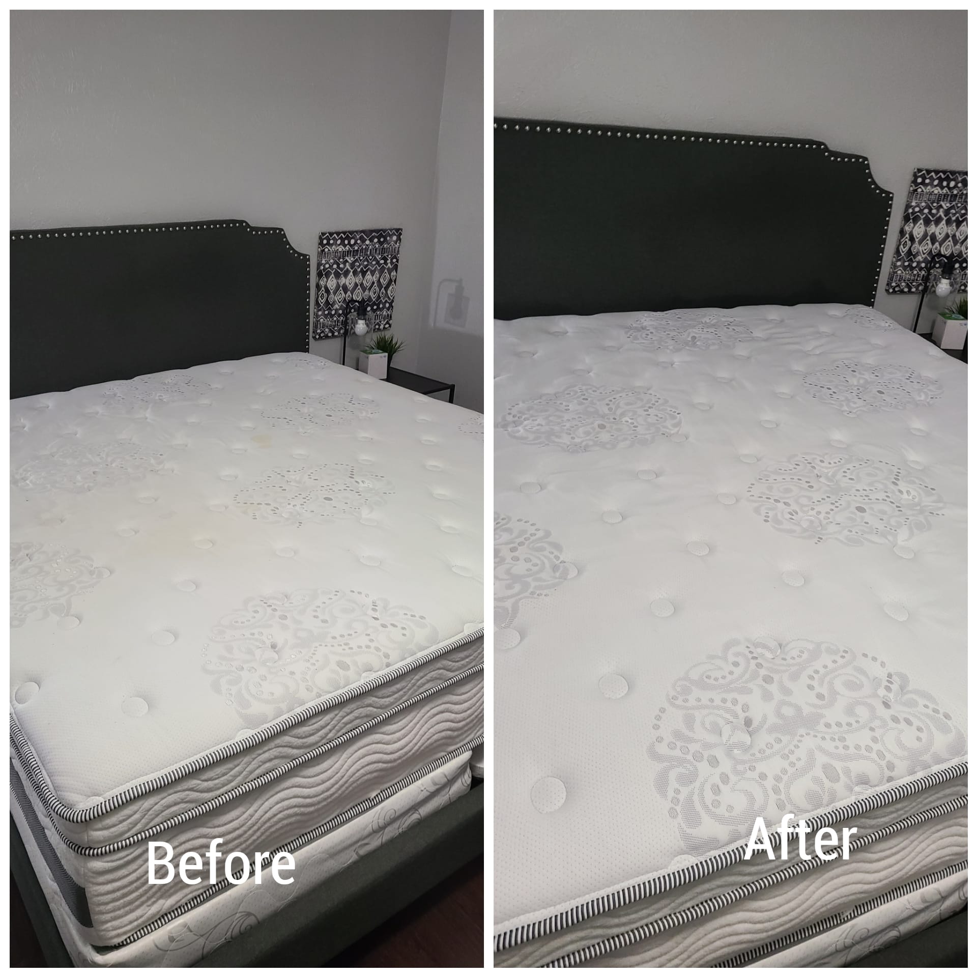 Muscle Cleaning Services - Upholstery - Before & After
