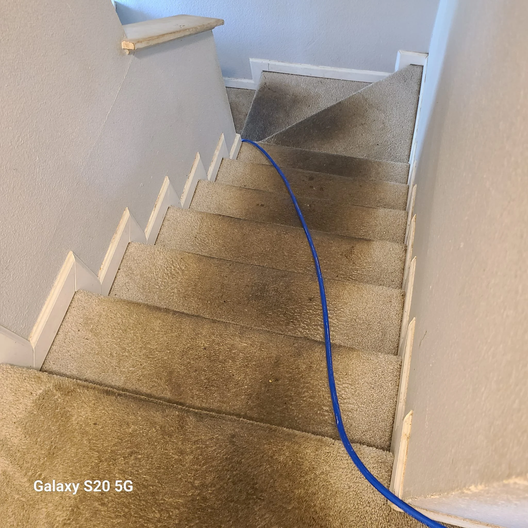 Before carpet cleaning in Murphy, TX