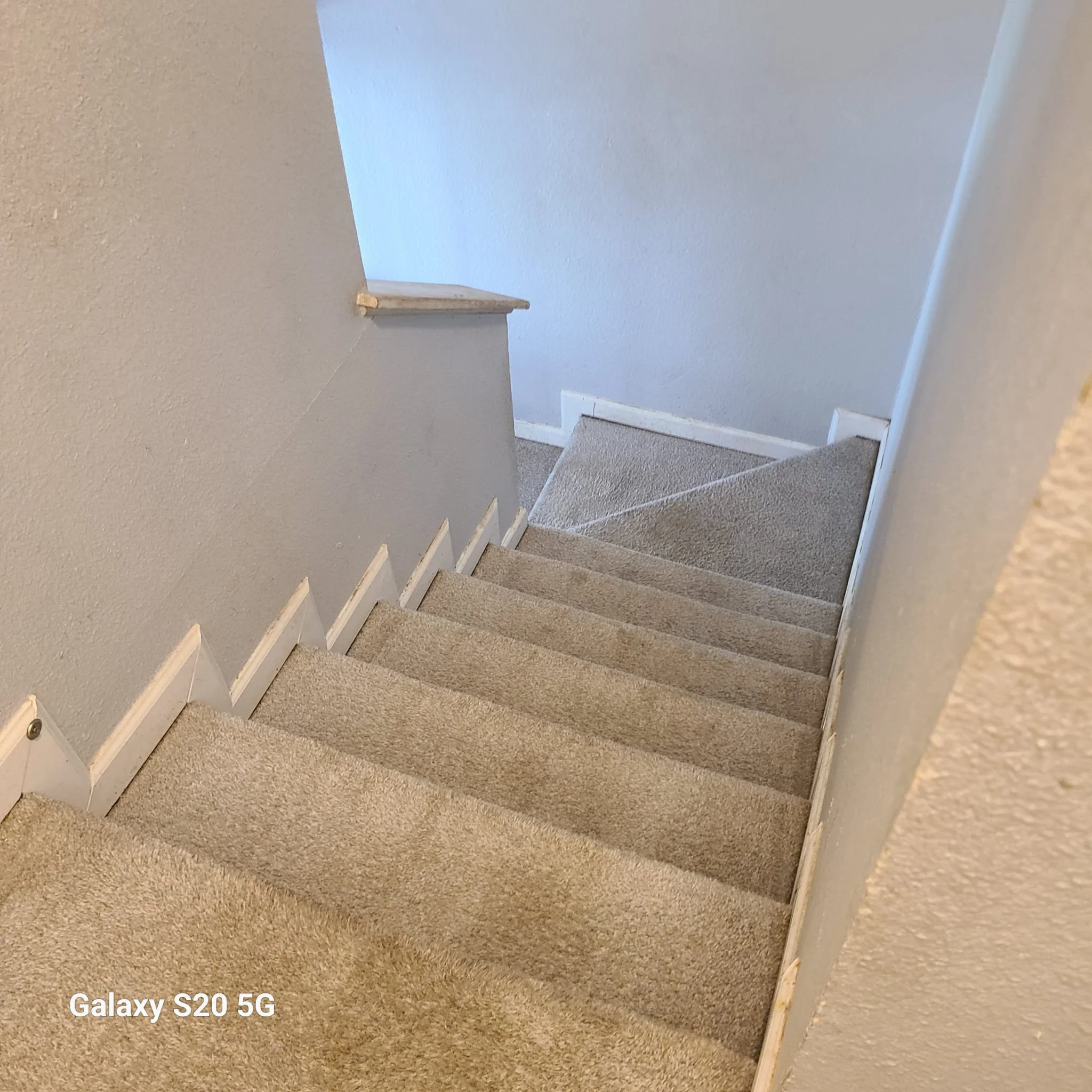 Carpet cleaning in Murphy, TX