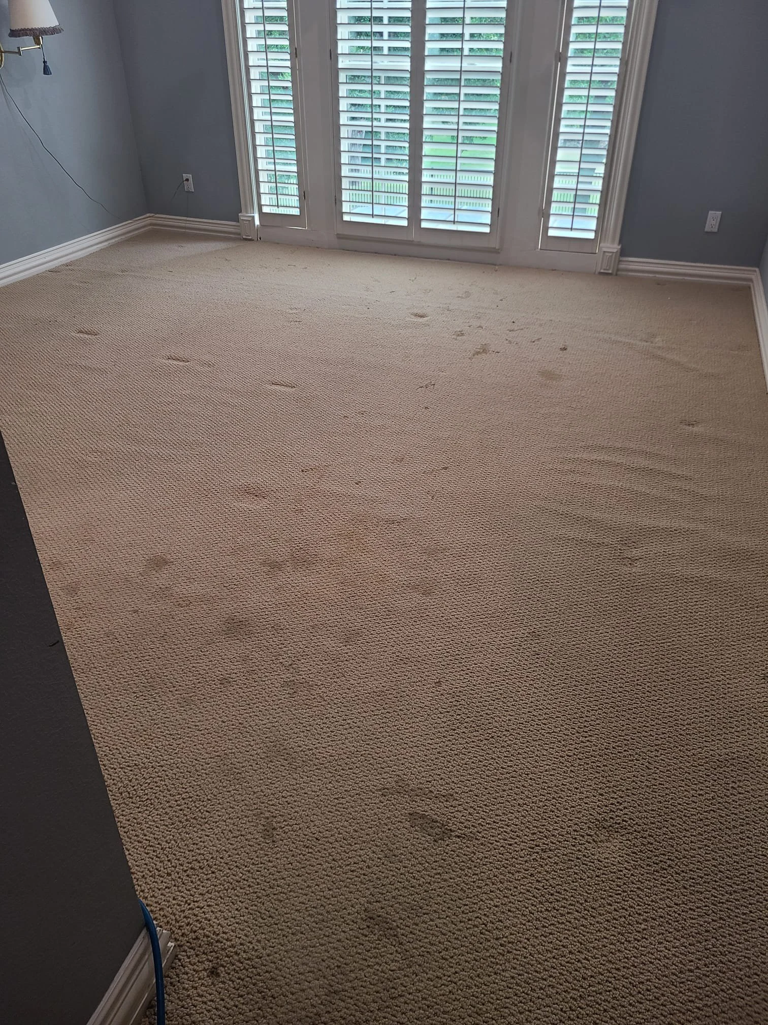 Before carpet cleaning in Prosper, TX