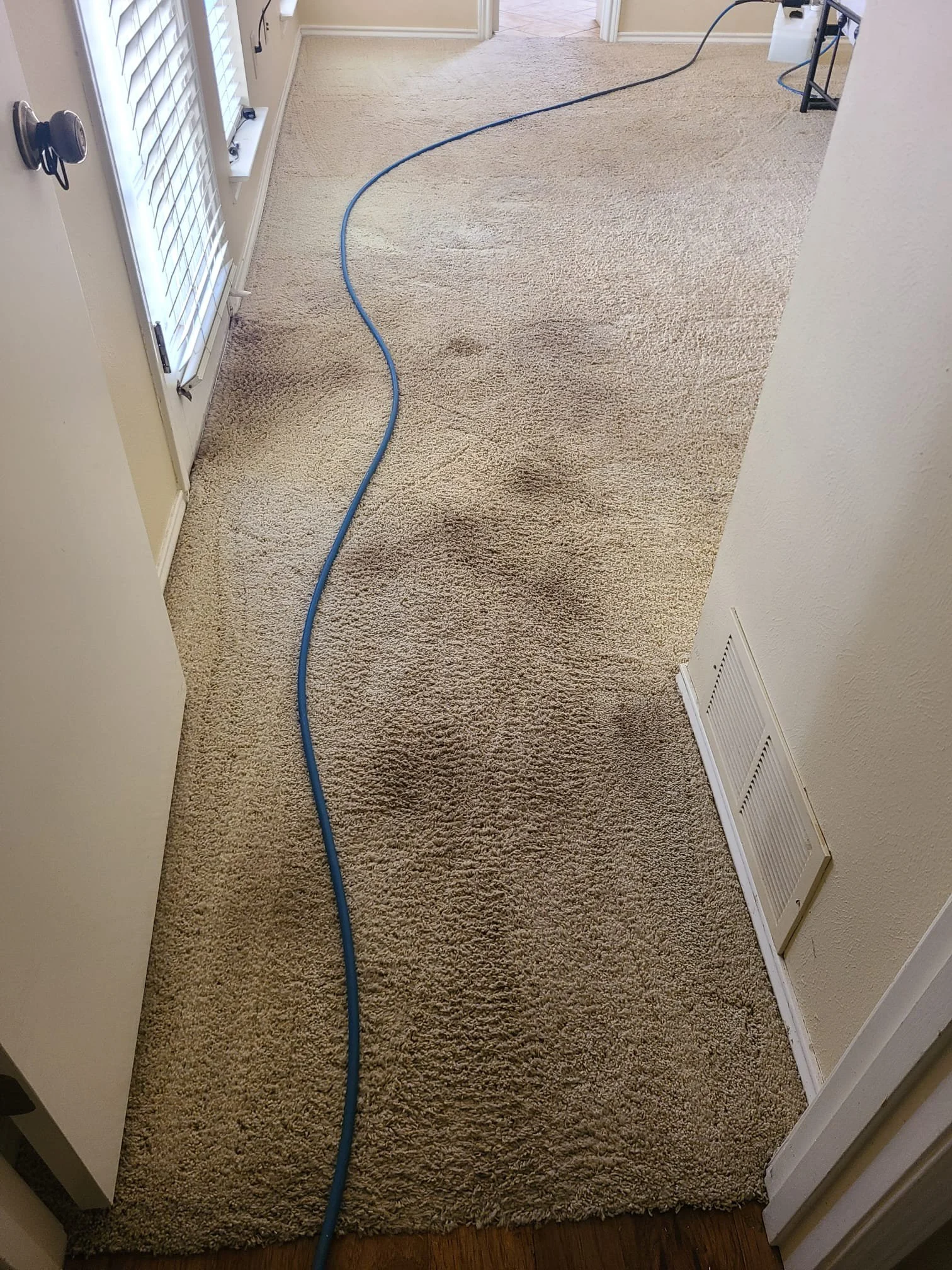Before carpet cleaning in Fairview, TX