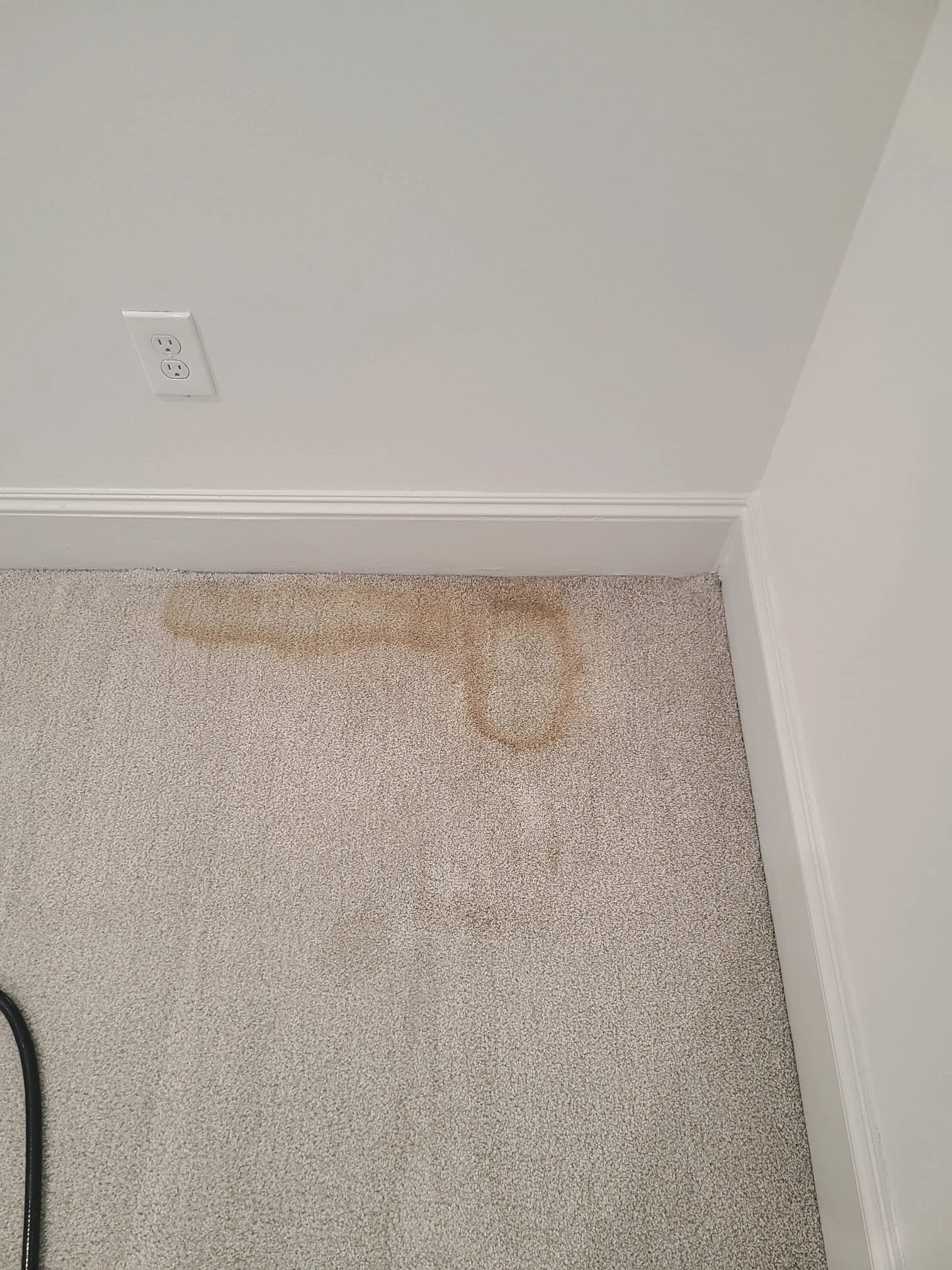 Before carpet cleaning in Bedford, TX