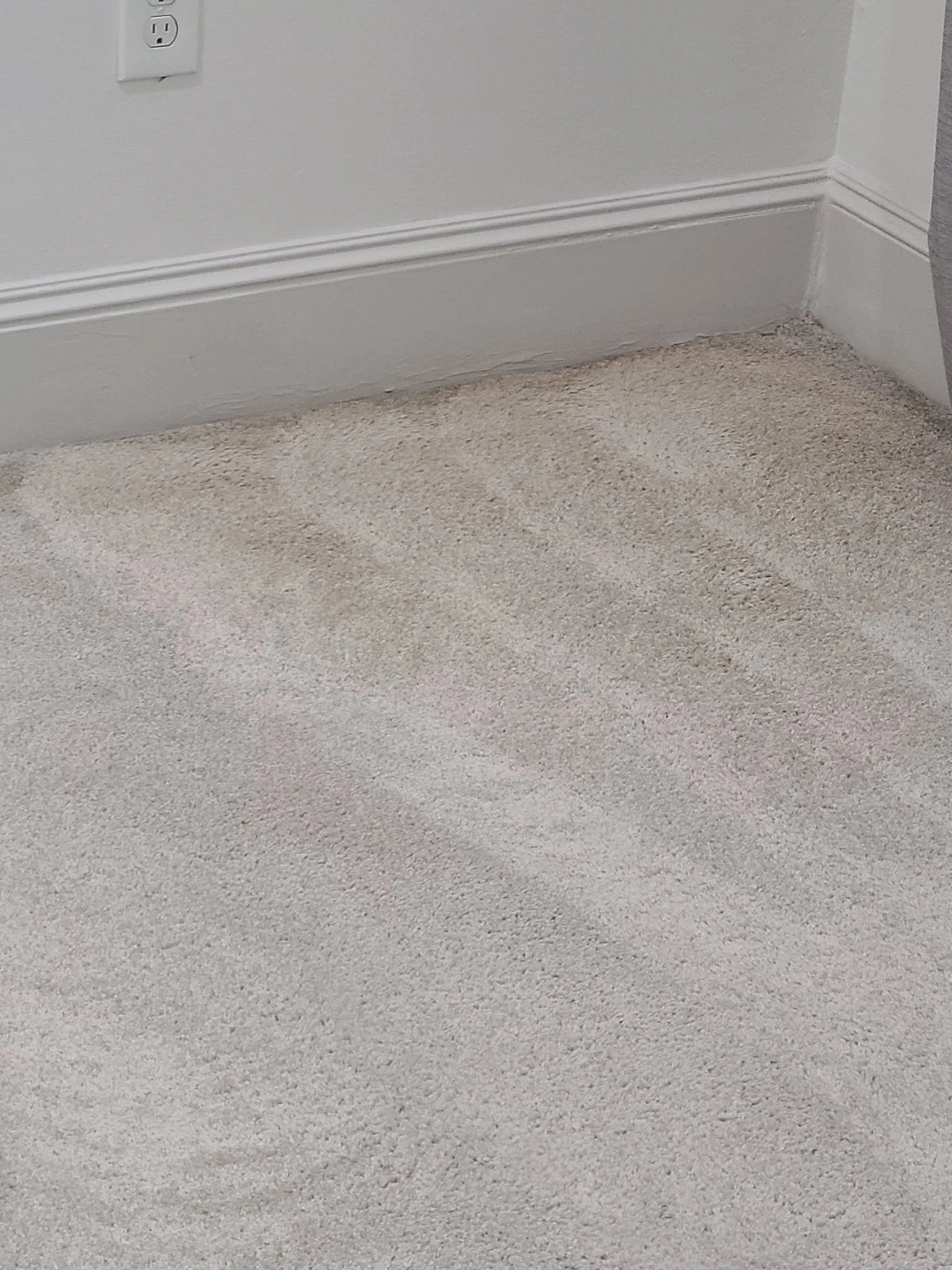 Carpet cleaning in Bedford, TX
