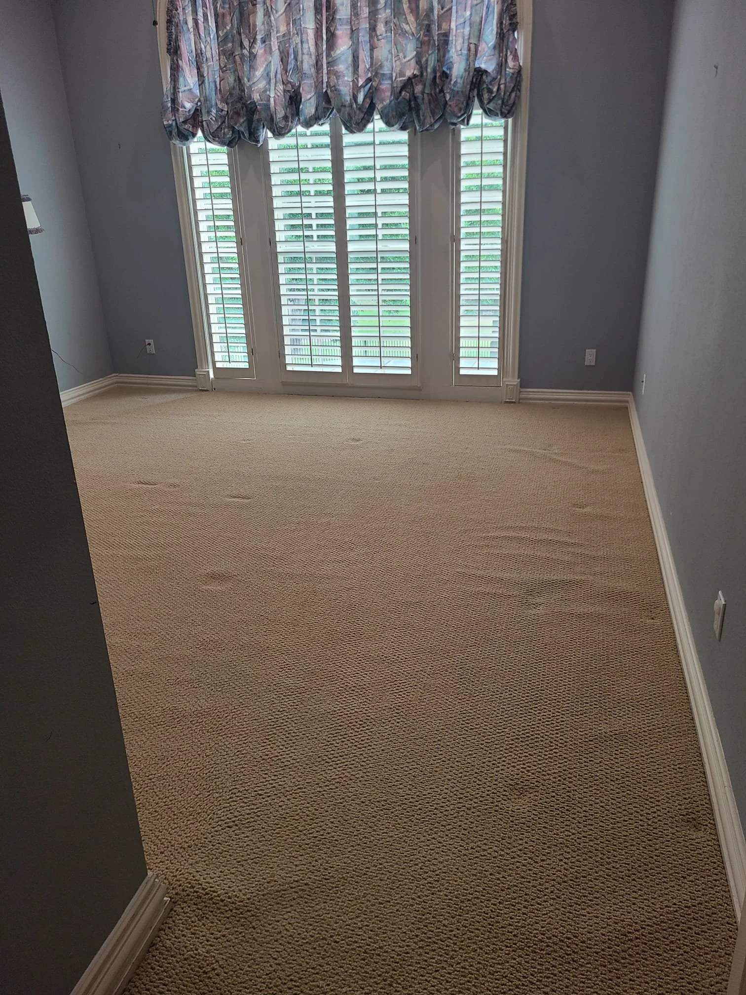 Carpet cleaning in Prosper, TX