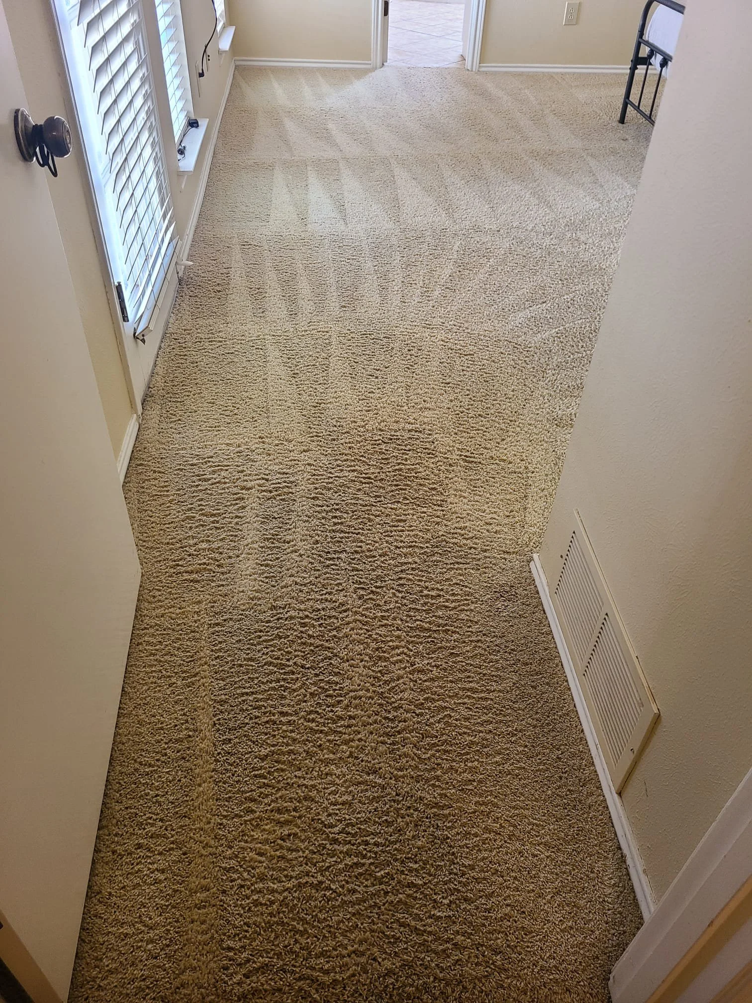 Carpet cleaning in Fairview, TX